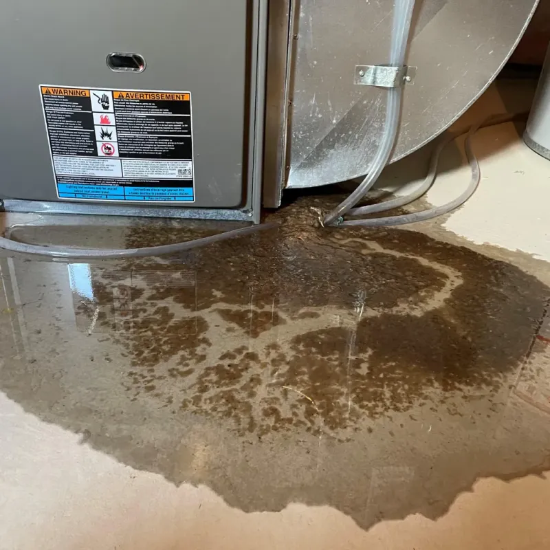 Appliance Leak Cleanup in Syracuse, IN